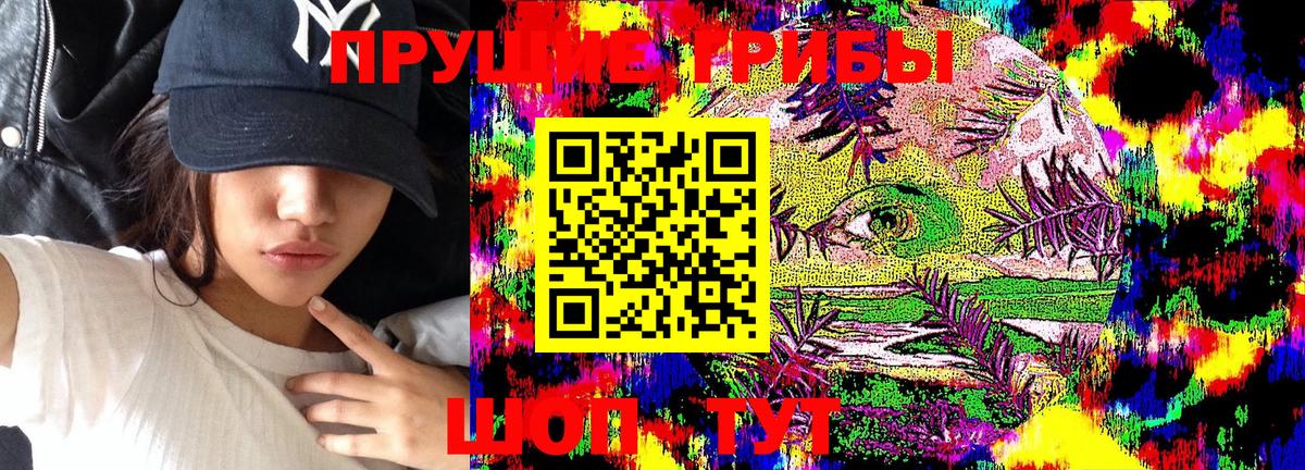 Галлюциногенные грибы GOLDEN TEACHER Урай