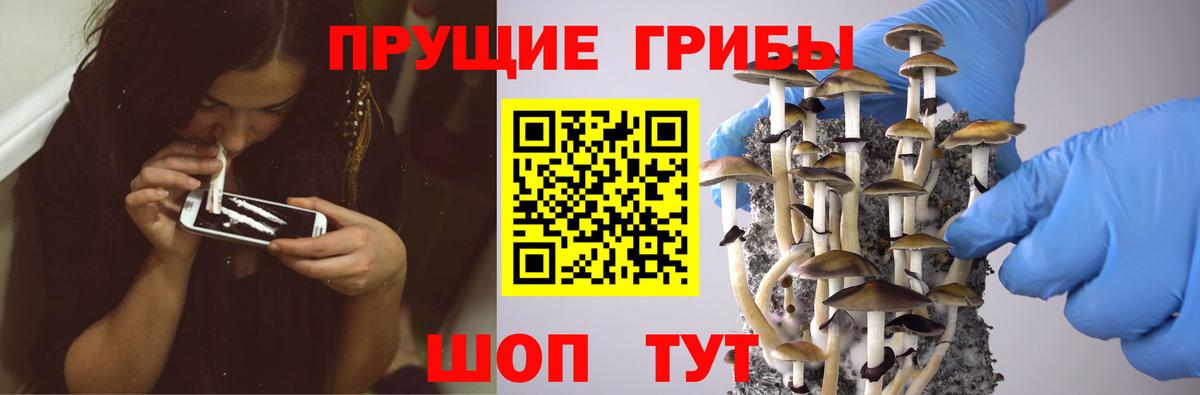 Урай  Псилоцибиновые грибы GOLDEN TEACHER  Вход с VPN 